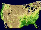 MODIS Measures Total U.S. Leaf Area