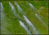 Forest Fires in Russia and Northern China