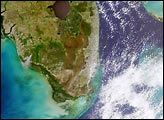 3 Dimensional Image of Florida