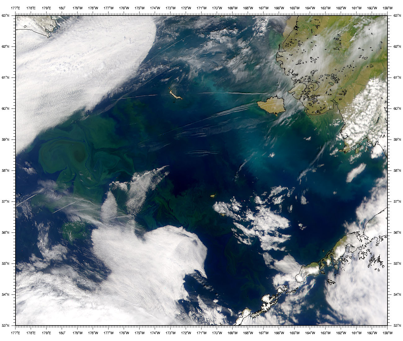 Phytoplankton and Coccolithophores in the Bering Sea - related image preview