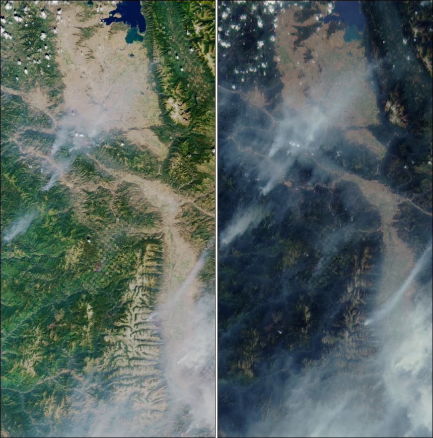 Two Perspectives on Forest Fire - related image preview