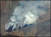 Controlled Burn from the Air, South Africa