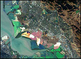 Two Views of San Francisco Bay