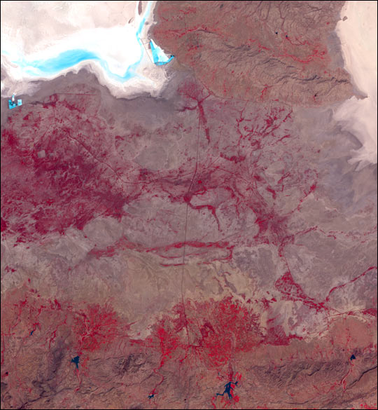 Earthquake Region, India