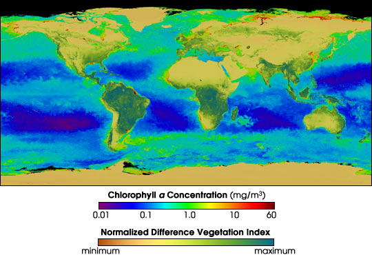 SeaWiFS Views the Global Carbon Cycle