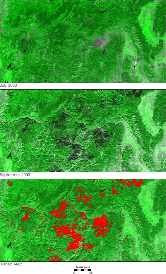 Land Cover Change from Fire