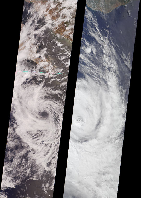 Tropical Storms Bud and Dera