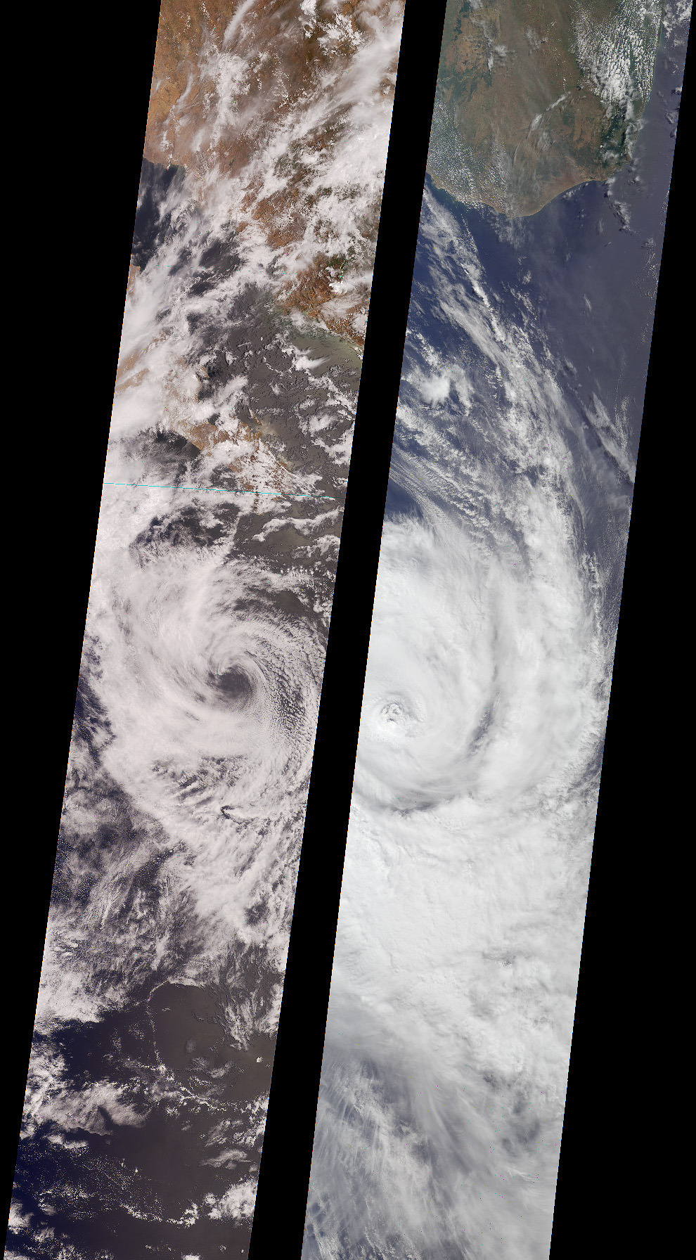 Tropical Storms Bud and Dera - related image preview