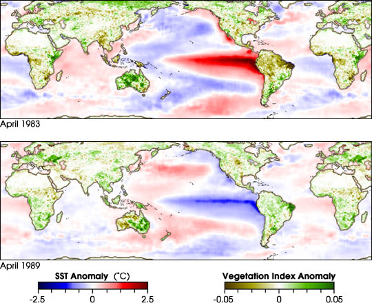 The Link Between Sea Surface Temperature and Vegetation