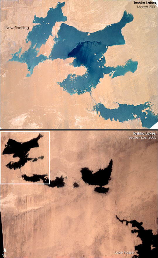 Another New Lake in Egypt - related image preview