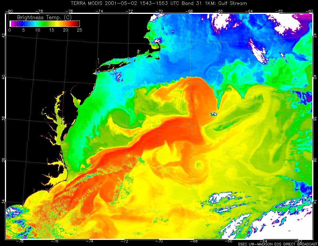 Gulf Stream’s Brightness Temperature - related image preview