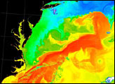 Gulf Stream’s Brightness Temperature