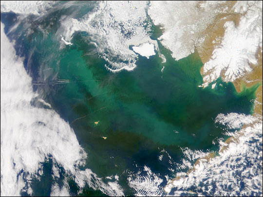 Swirls of Color in the Bering Sea