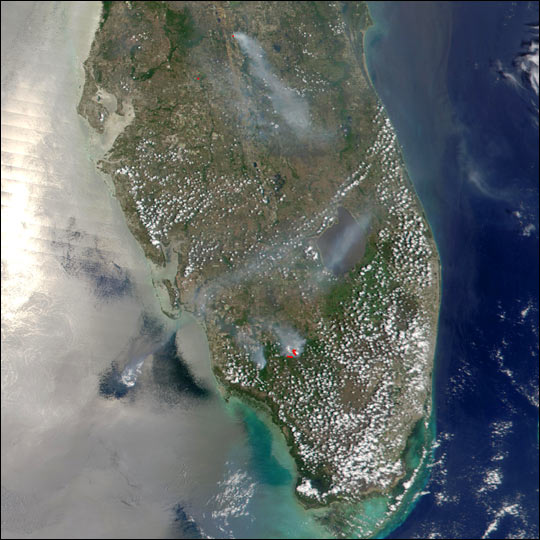 Scattered Fires in Florida