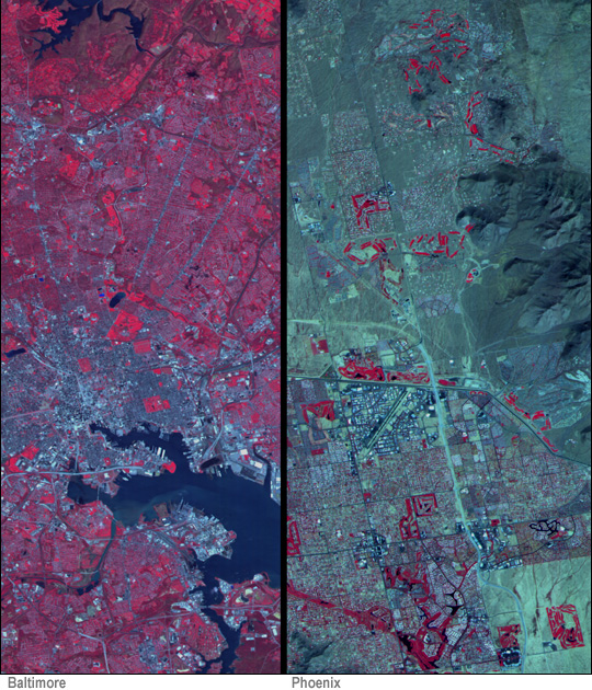 Comparing Baltimore and Phoenix