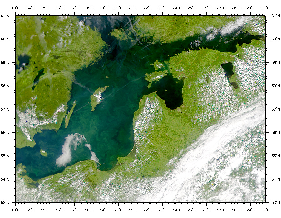 Phytoplankton bloom in the Baltic Sea - related image preview