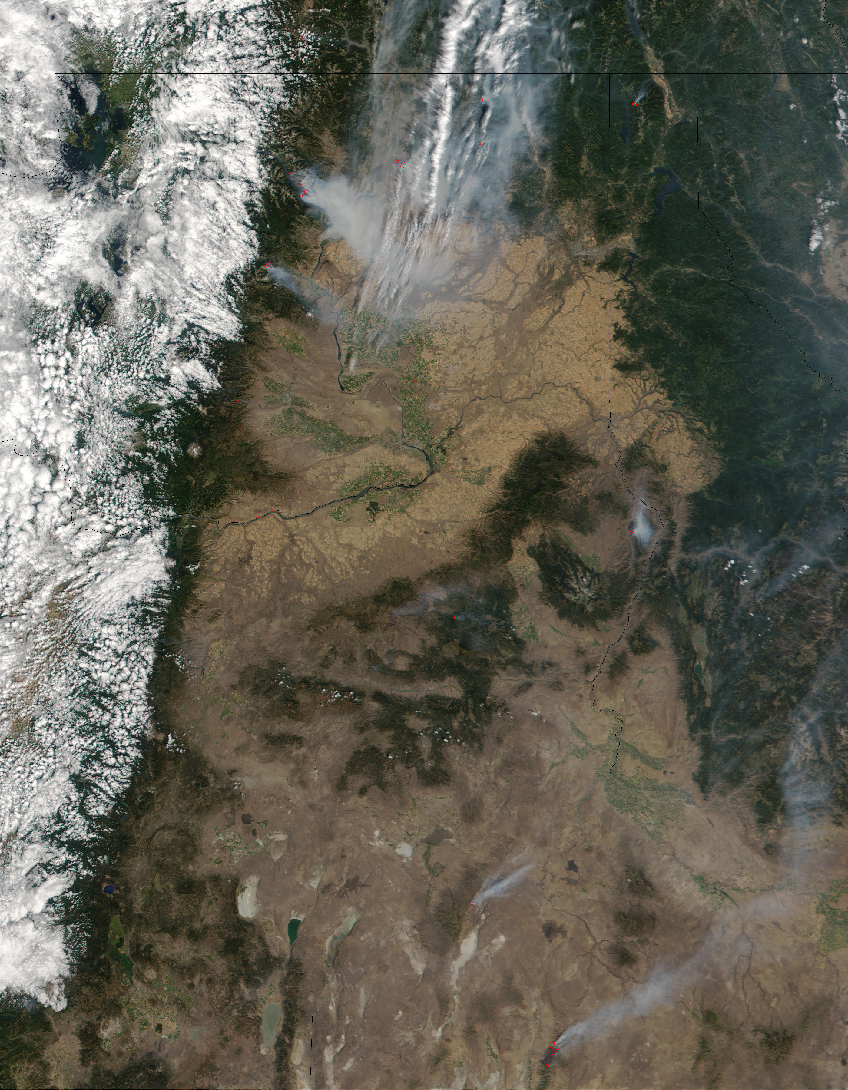 Widespread Fires in the Pacific Northwest - related image preview
