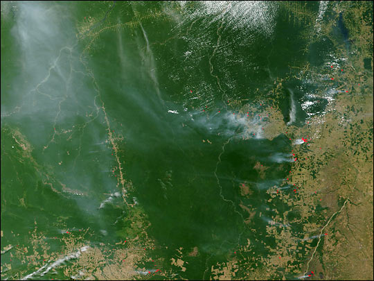 Deforestation and fires in Para, Brazil