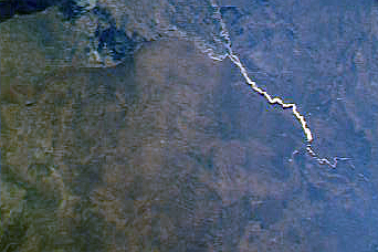 Elephant damage to vegetation in Botswana - related image preview