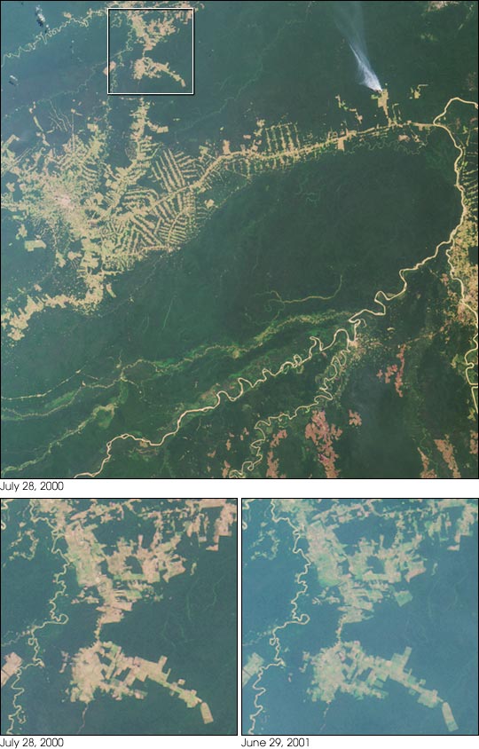 Deforestation near Rio Branco, Brazil