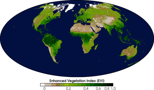 Global Enhanced Vegetation Index - related image preview