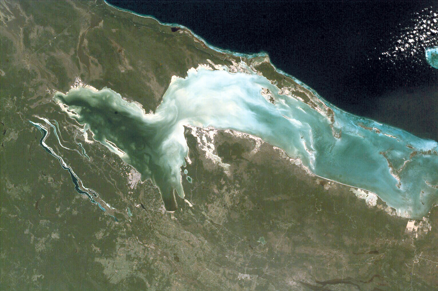 Chetumal Bay Coral Reef - related image preview