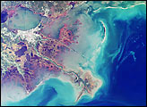 Wetlands of the Gulf Coast