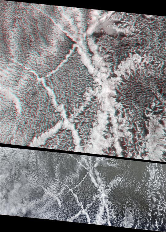 Ship Tracks in a Stratiform Cloud Layer