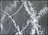 Ship Tracks in a Stratiform Cloud Layer
