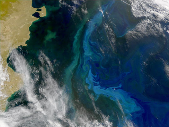 Convergence Zone over the Patagonian Shelf