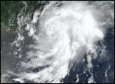 Tropical Storm Bertha in the Gulf of Mexico