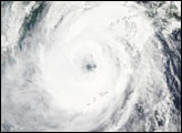 Typhoon Rusa - selected child image