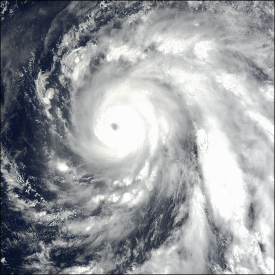 Typhoon Ele