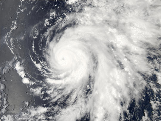 Typhoon Ele