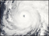 Typhoon Ele - selected child image