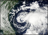 Tropical Storm Edouard - selected image