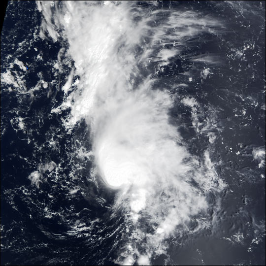 Tropical Storm Dolly off the Leeward Islands