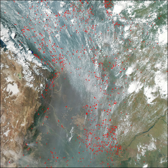 Widespread  Fires in South America - related image preview