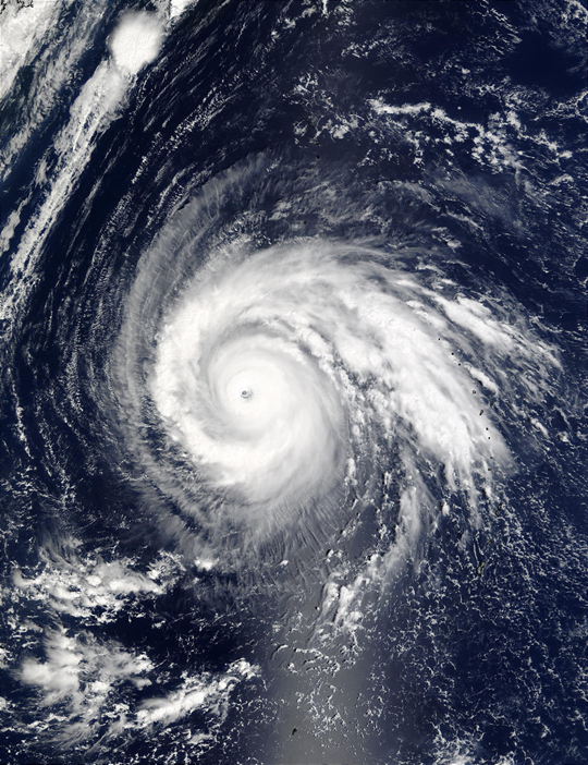 Typhoon Higos