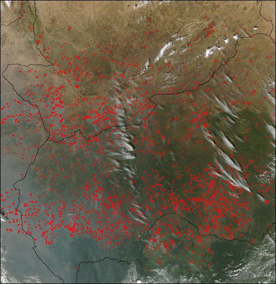 Widely Scattered Fires across North Africa