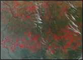 Widely Scattered Fires across North Africa