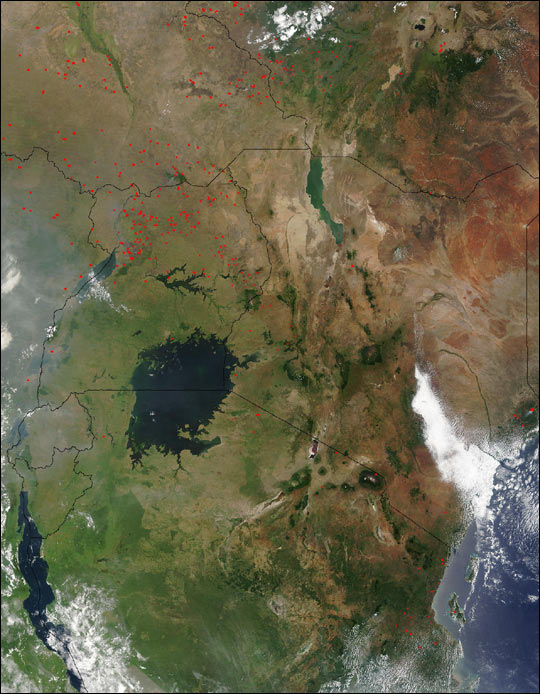 Fires in Eastern Africa Near Lake Victoria