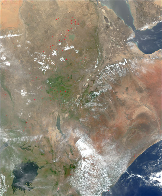 Fires in Eastern Africa Near Lake Victoria