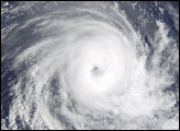 Tropical Cyclone Fiona