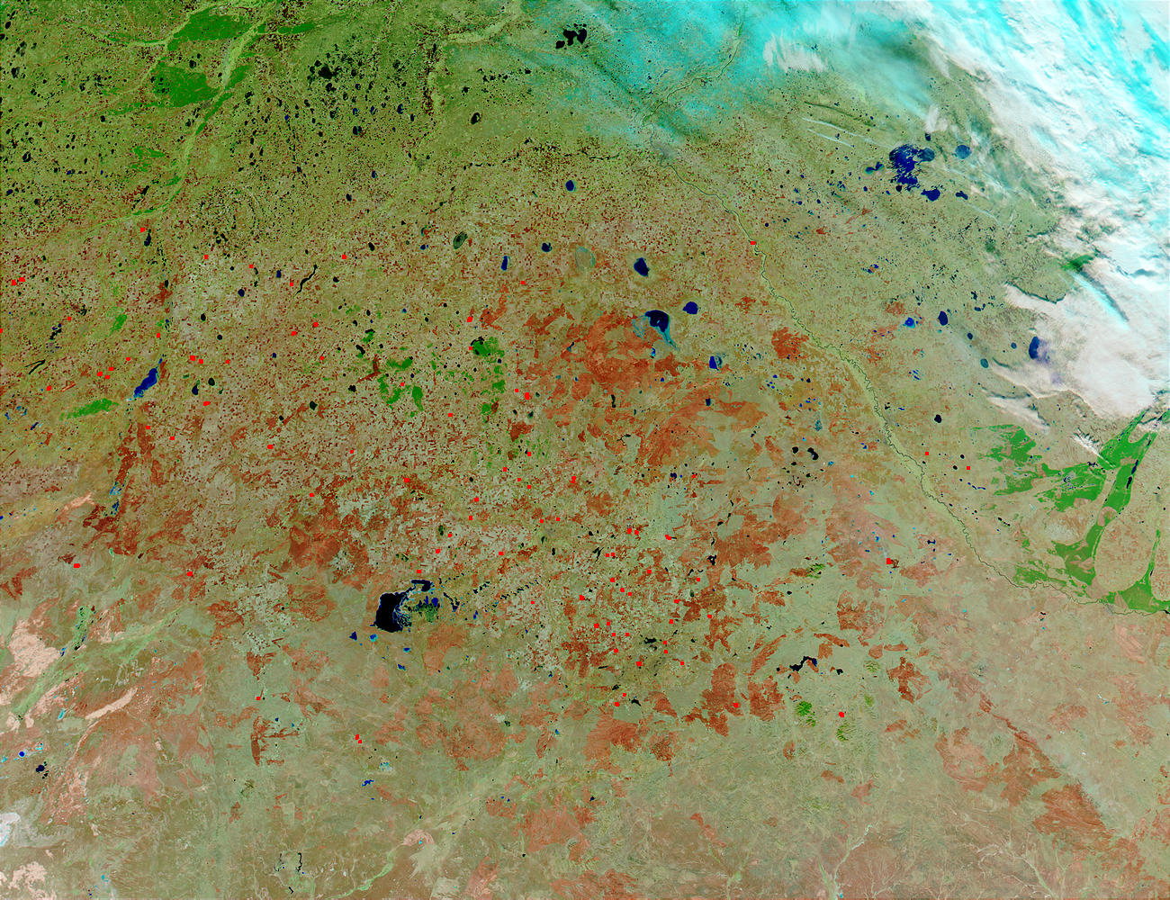 Fires and burn scars in Kazakhstan (false color) - related image preview