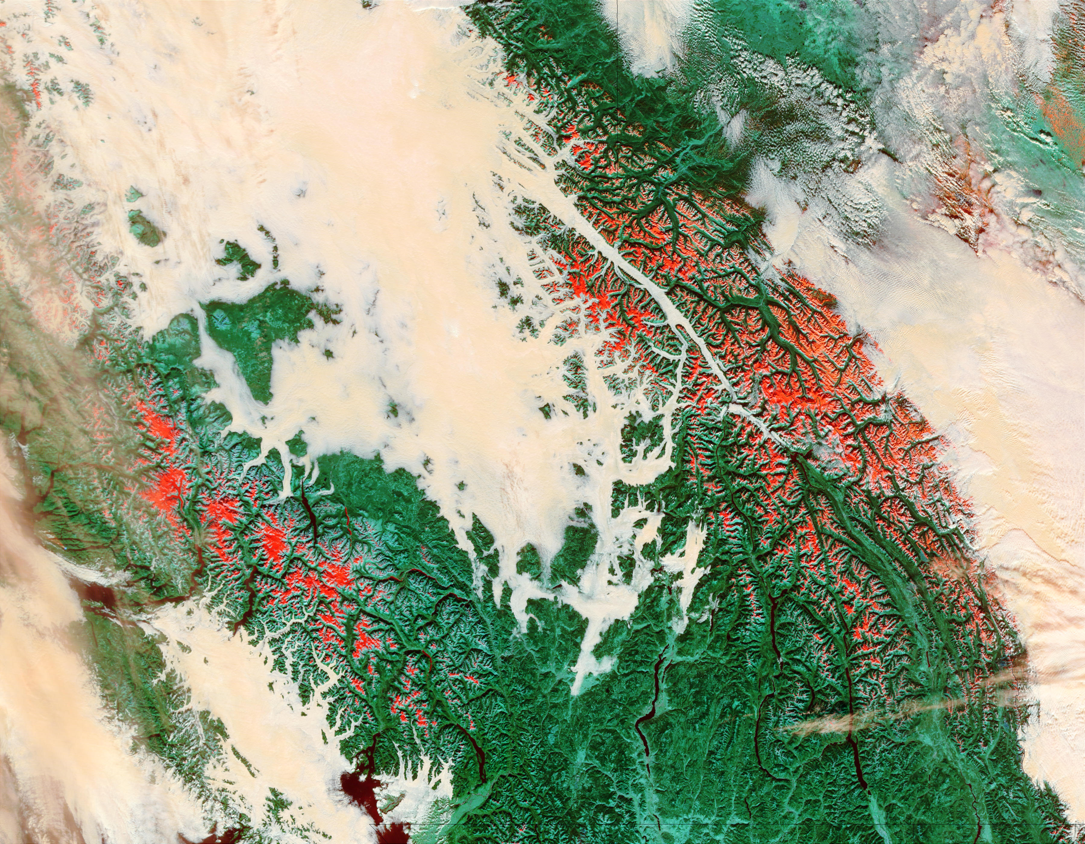 Fog in the Rockies Valleys, British Columbia (false color) - related image preview