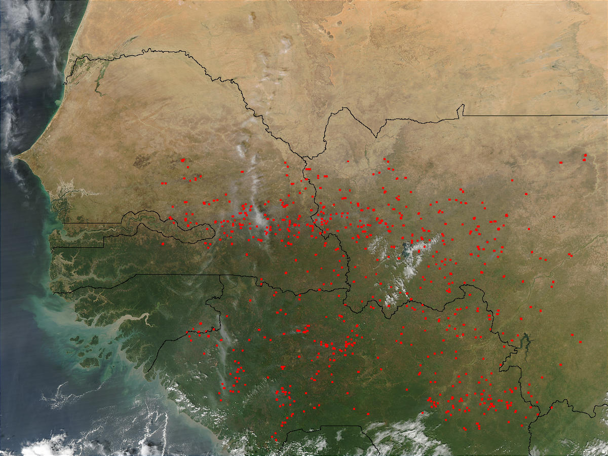 Fires in Western Africa (afternoon overpass) - related image preview