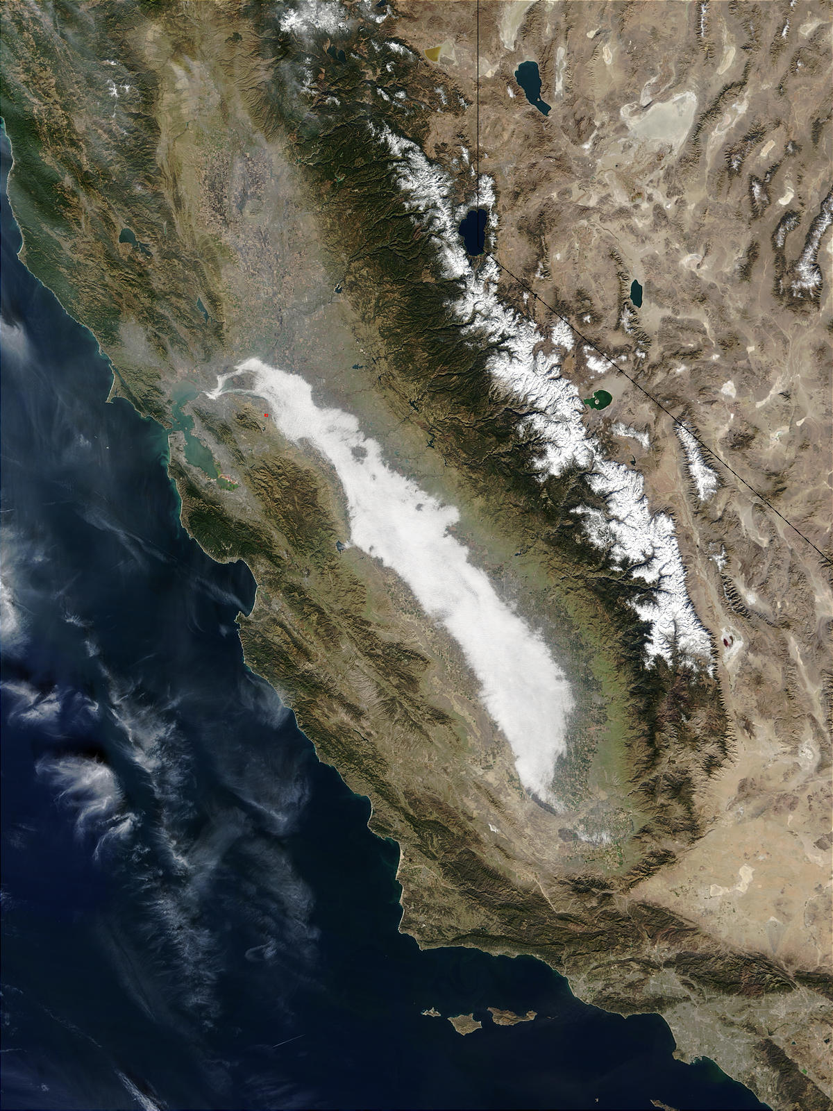 Fog in California - related image preview