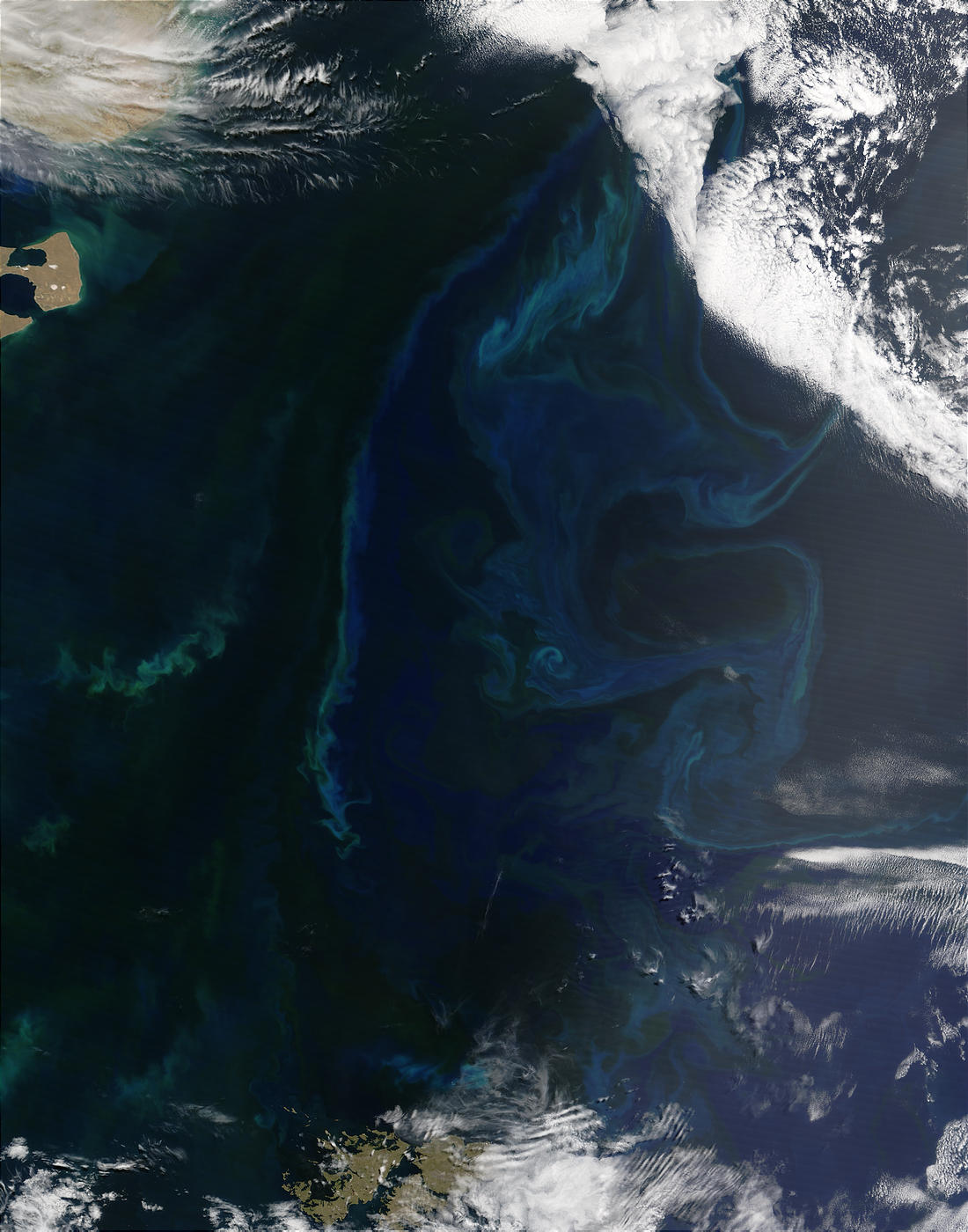 Phytoplankton bloom off the coast of Argentina - related image preview