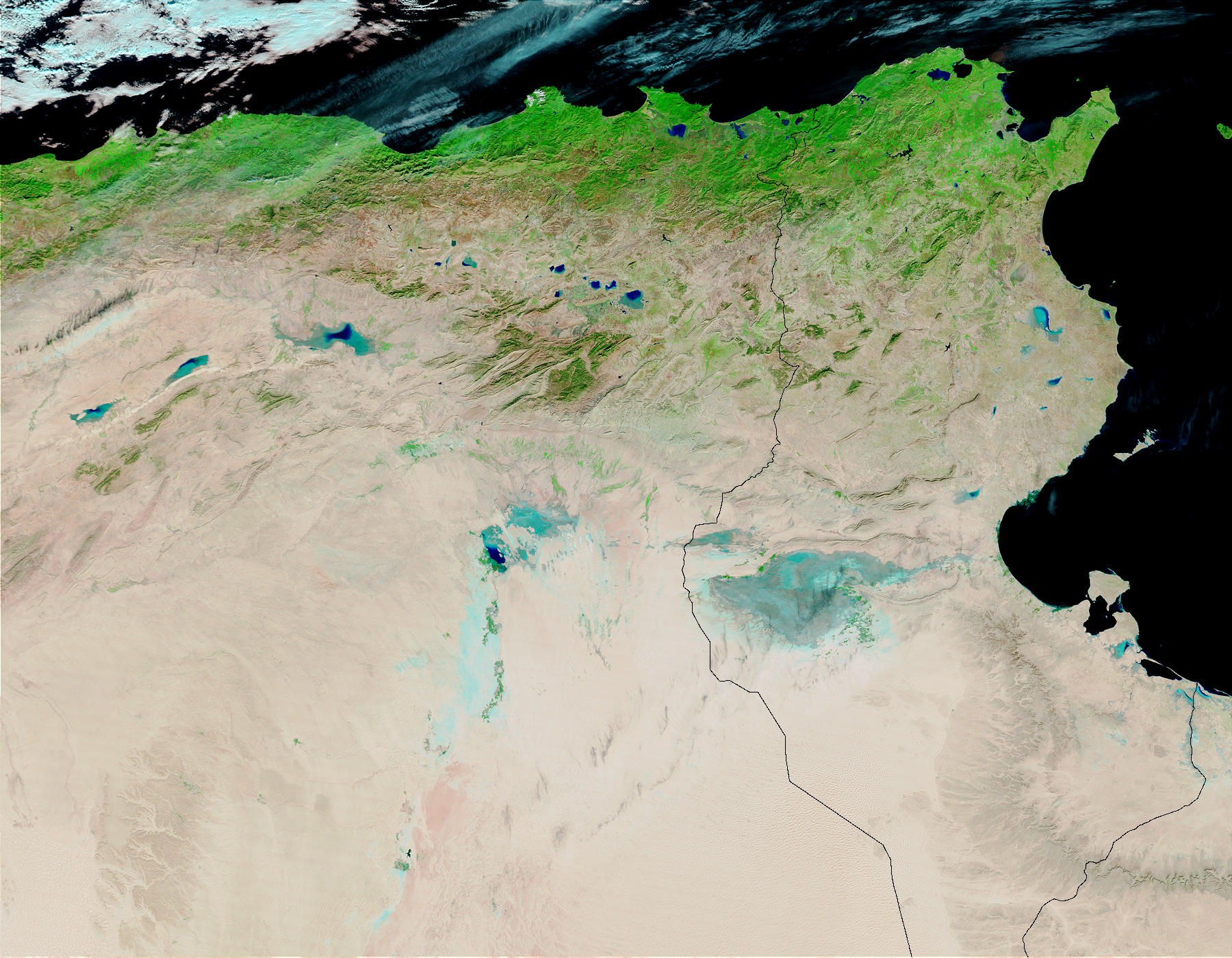 Tunisia and Algeria (before floods) (false color) - related image preview